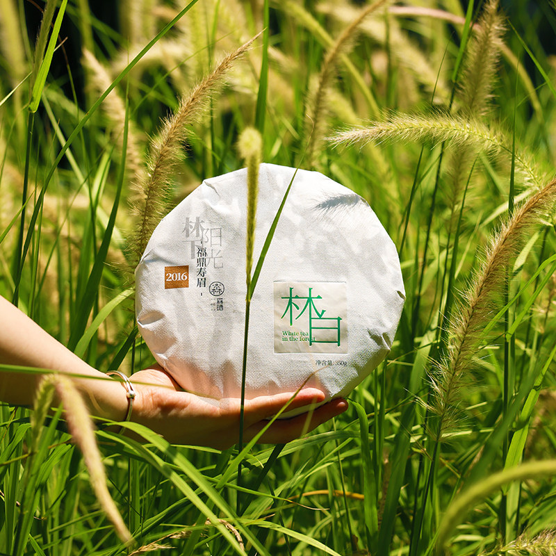 森晒「林白」2016年福鼎白茶寿眉茶饼350g