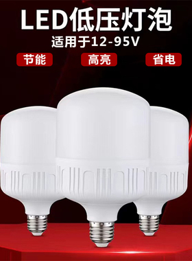 LED灯泡家用超亮直流12伏电瓶灯夜市摆摊24V36V48V螺纹大功率球泡