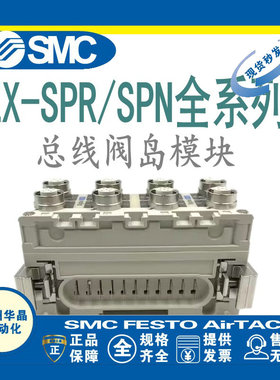 SMC阀岛EX600-DXPD/B-SDN2A-SPN1-SPR1A-DYPB-ED3/2-ZMV1/NA/SEN1