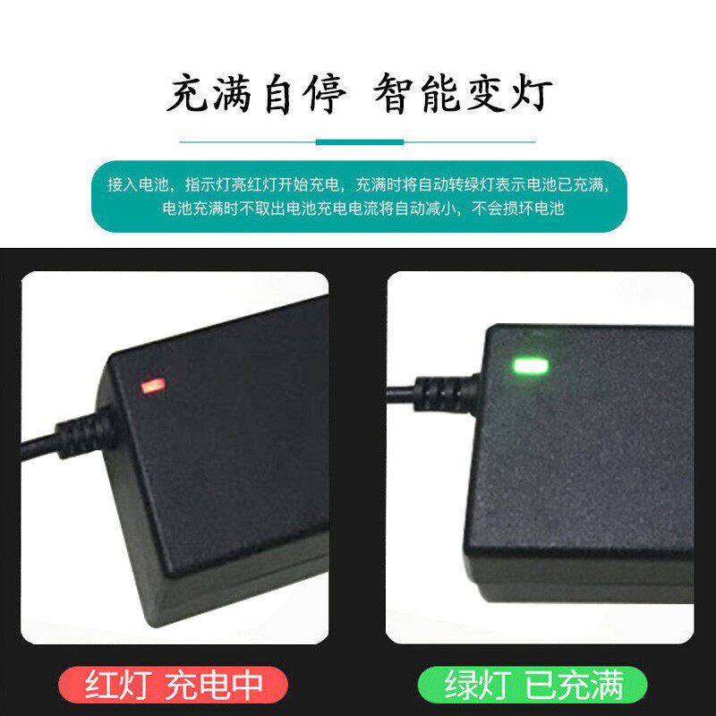 电动滑板车希洛普哈雷代步车代驾车24V36V48V60V锂电池通用充电器