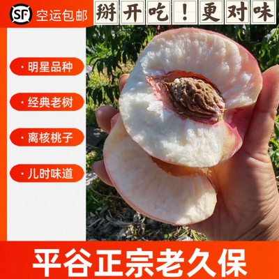 平谷久保14号离核桃子经典老品种