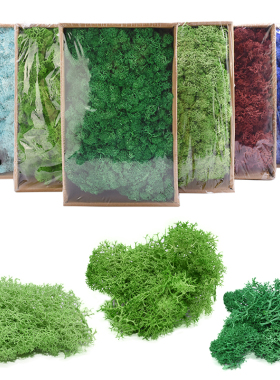 HighQualityArficGreen