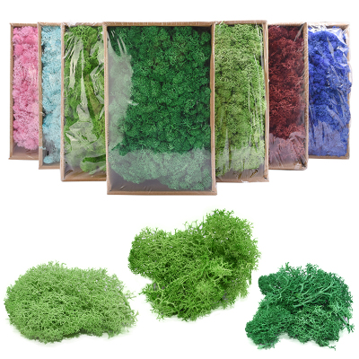 HighQualityArficGreen