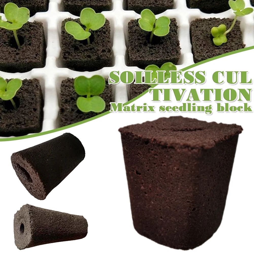 50pcs Seed Root Growth Sponges Soilless Growing Seedling Gro - 实物图
