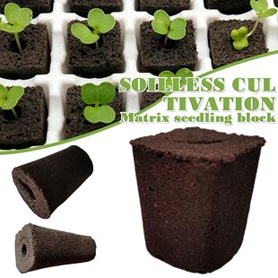 50pcs Seed Root Growth Sponges Soilless Growing Seedling Gro