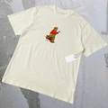 Apricot Artist