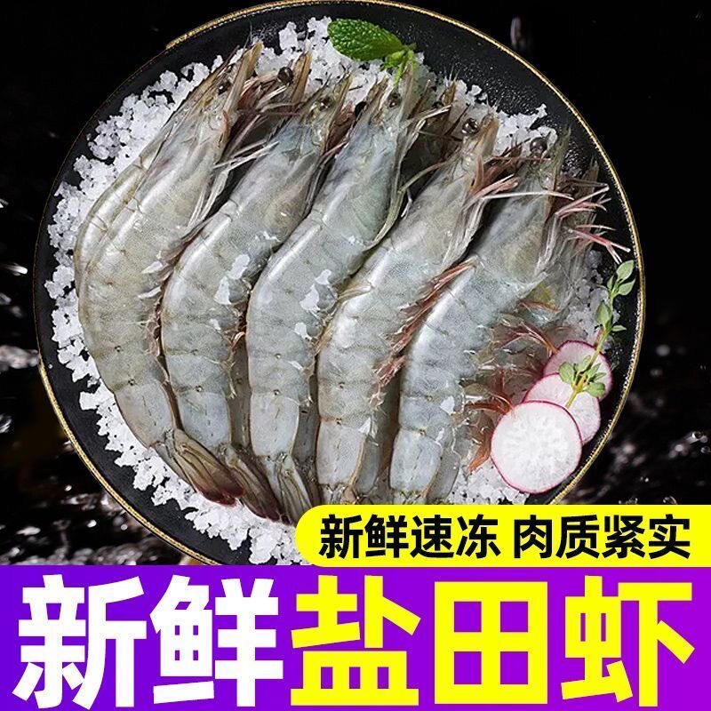 【国产盐田虾】只只单冻图片