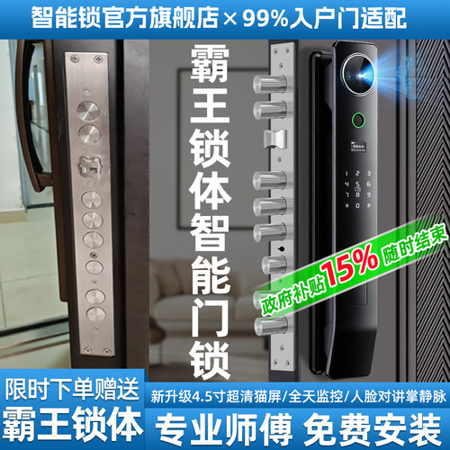 小二甄选款-霸王锁体专用智能锁