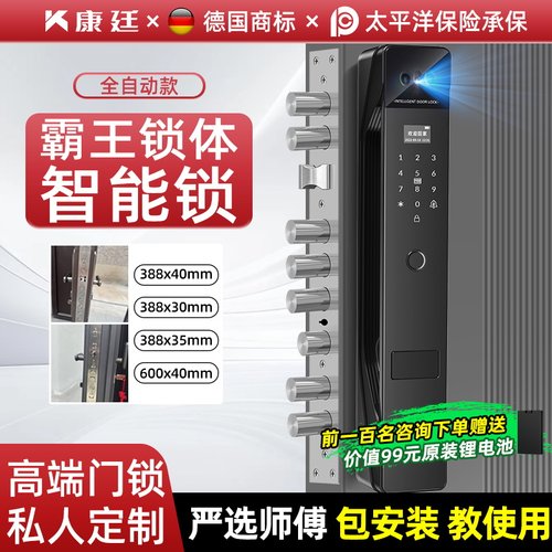 霸王锁体智能锁全自动款人脸识别密码锁家用门锁带监控防盗指纹锁