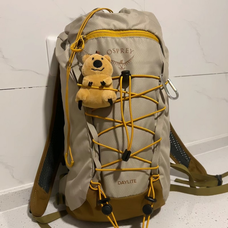 小鹰15升防泼水耐磨正品背包