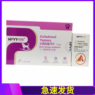 辉鹏宠炎康宠物犬猫头孢羟氨苄片0.125g/硫酸新霉素片0.1g恩立舒