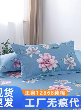 40x45x50x55x60x65x70x75x80x90加大枕套一对装48×74背靠枕