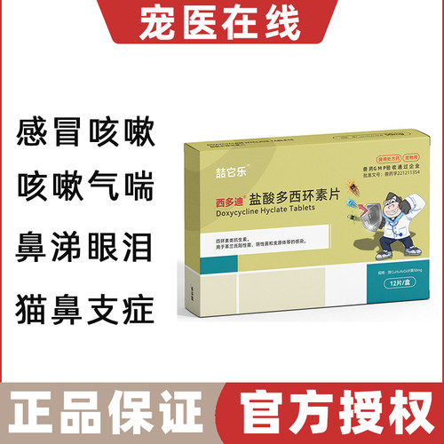 喆它乐感冒鼻涕咳嗽喷嚏
