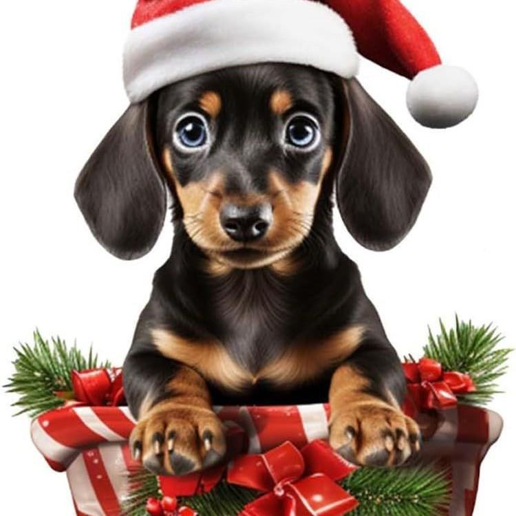 2023 Christmas Ornaments Hanging Decoration Gift Cute Dog 无