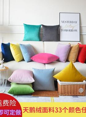Solid-colored throw pillows Pink Cushions velvet backrest