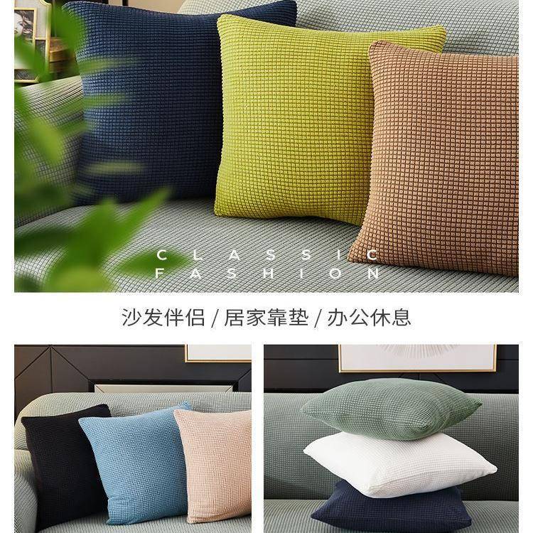 Throw pillow sofa back cushion cover velvet Pillow case靠垫