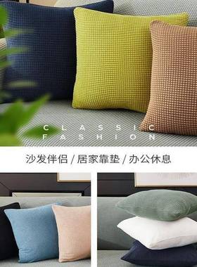 Throw pillow sofa back cushion cover velvet Pillow case靠垫