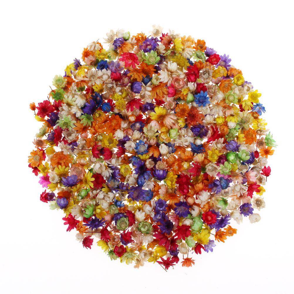 200pc Real Dried Flowers For  Art Craft Epoxy Resin Candl