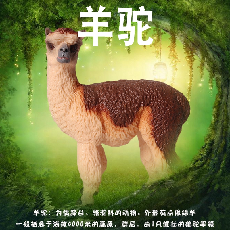 林畅模玩羊驼模型仿真动物