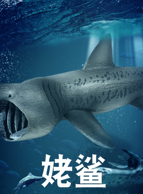 林畅模玩儿童海洋生物玩具姥鲨模型姥鲛滤食鲨深海鲨鱼仿真动物