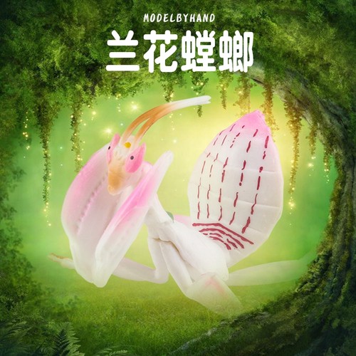林畅模玩兰花螳螂模型仿真昆虫