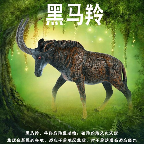 林畅模玩黑马羚模型仿真动物