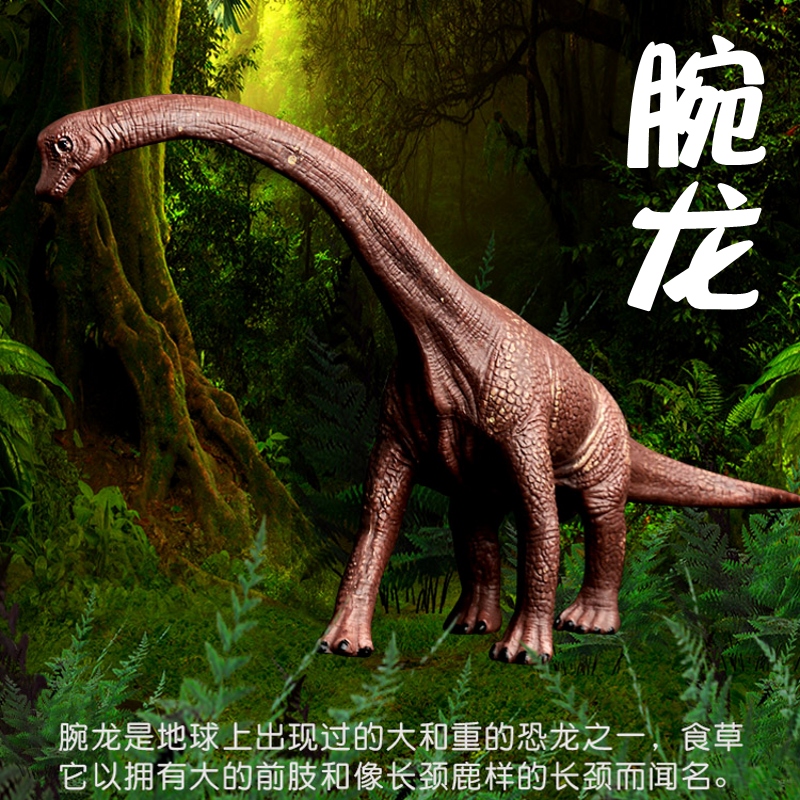 林畅模玩腕龙模型仿真恐龙玩具