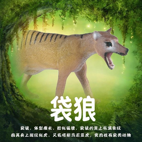 林畅模玩袋狼模型史前仿真动物
