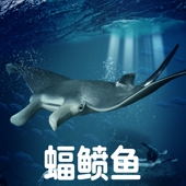 林畅模玩海洋鱼类玩具蝠鲼模型毯魟魔鬼鱼深海底生物儿童仿真动物