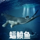 林畅模玩海洋鱼类玩具蝠鲼模型毯魟魔鬼鱼深海底生物儿童仿真动物