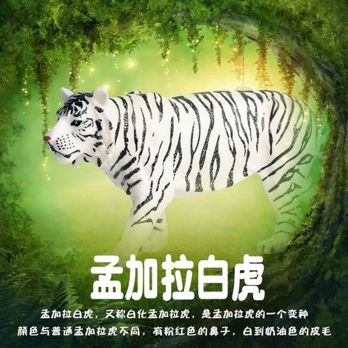 林畅模玩孟加拉白虎模型仿真动物