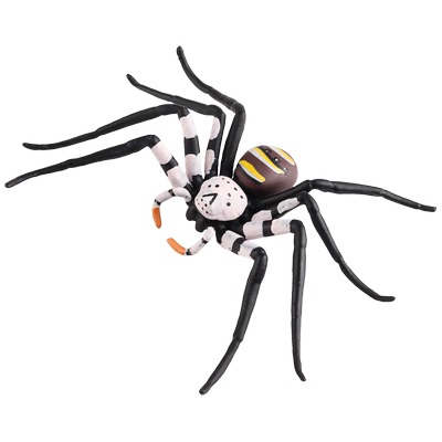 林畅模玩白额高脚蛛模型仿真昆虫