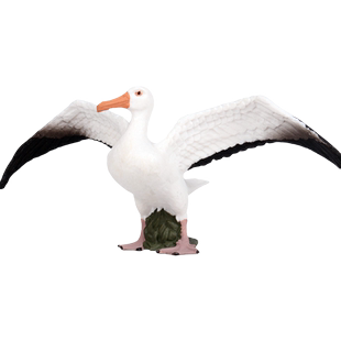 林畅模玩仿真动物模型世界实心小鸟类信天翁海鸳海燕儿童玩具摆件