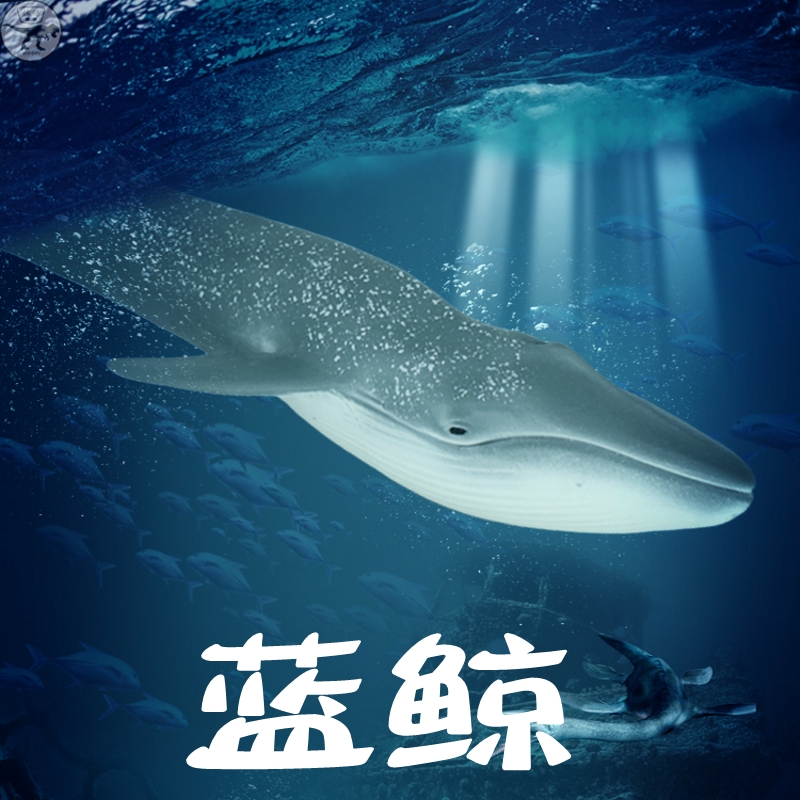 林畅海洋世界生物仿真动物蓝鲸模型大号鲸鱼鲨鱼套装儿童玩具男孩