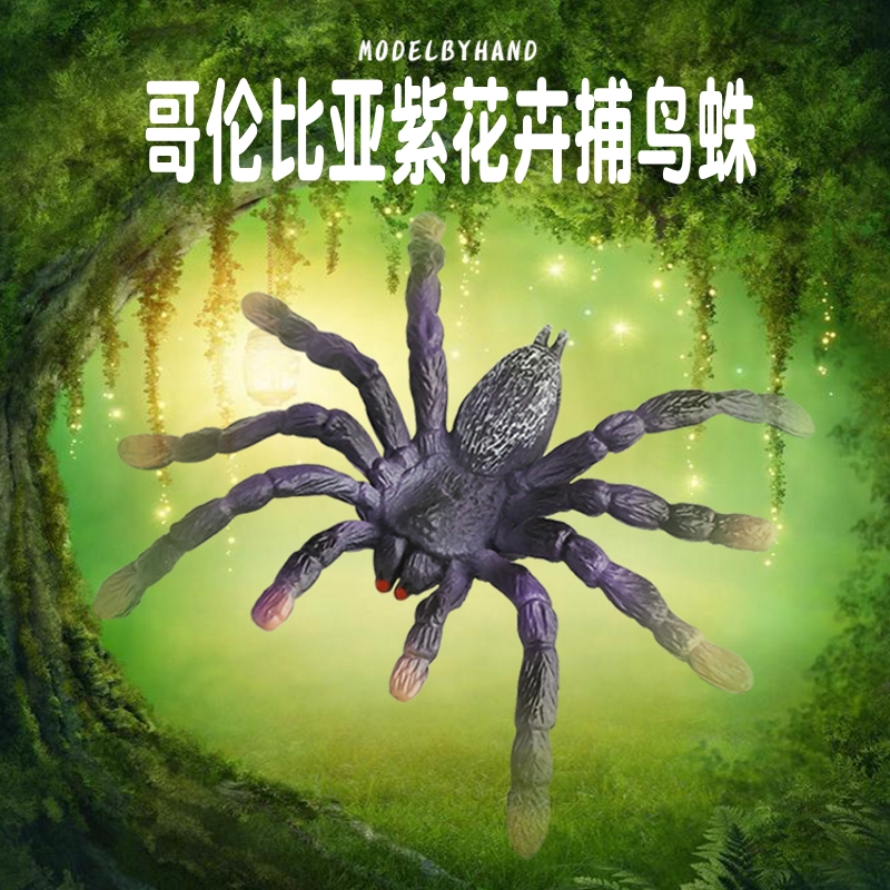 林畅模玩紫花卉捕鸟蛛模型仿真