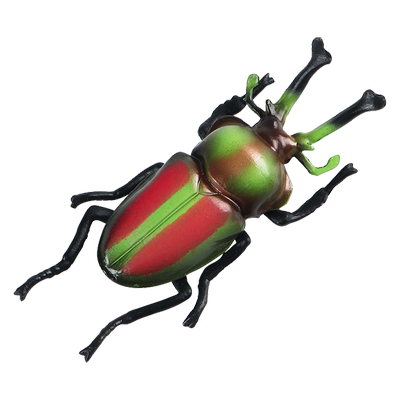 林畅模玩彩虹锹甲模型仿真昆虫