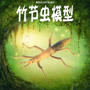 儿童塑胶动物玩具昆虫模型仿真竹节虫套装蝎子螳螂蜜蜂小男孩认知