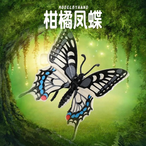 林畅模玩柑橘凤蝶模型仿真昆虫