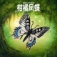 林畅模玩儿童昆虫玩具柑橘凤蝶模型实心蝴蝶仿真虫子男孩动物认知