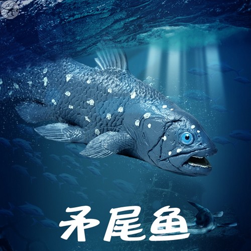 林畅模玩矛尾鱼类儿童动物仿真