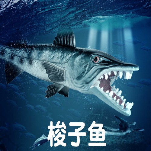 林畅模玩梭子鱼模型仿真海洋动物
