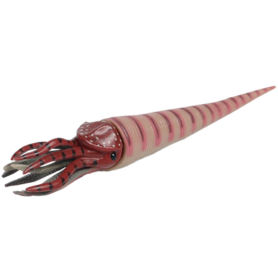 林畅模玩直角石模型史前仿真动物