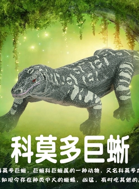 林畅模玩儿童动物玩具科莫多巨蜥模型魔龙实心仿真蜥蜴男孩认知