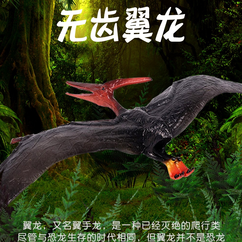 林畅模玩侏罗纪无齿翼龙