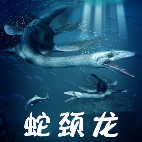 林畅模玩蛇颈龙模型仿真恐龙玩具