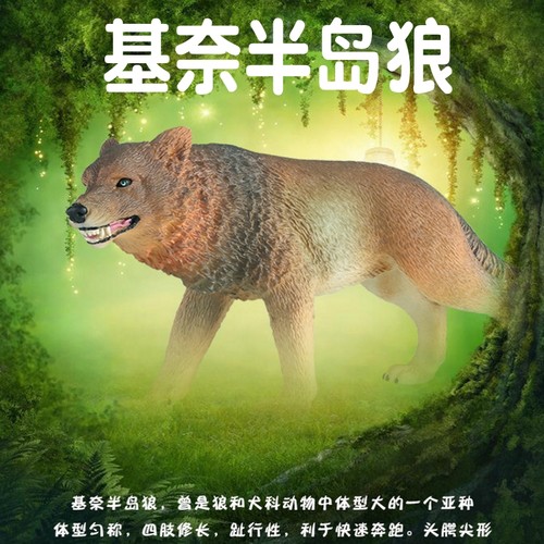 林畅模玩史前巨兽基奈模型大灰狼