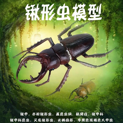 林畅模玩儿童仿真动物锹形虫