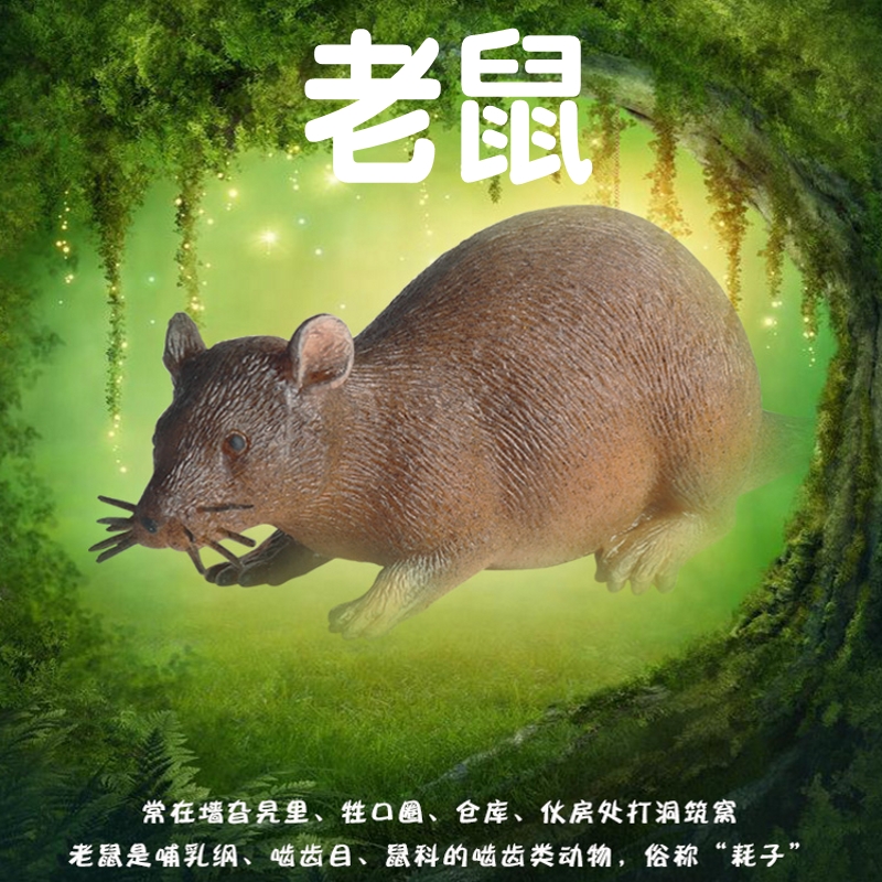 林畅模玩儿童软胶仿真动物老鼠