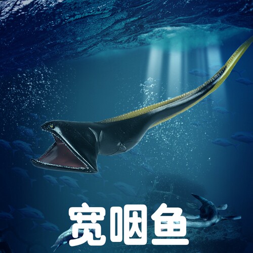林畅模玩宽咽鱼模型仿真海洋动物