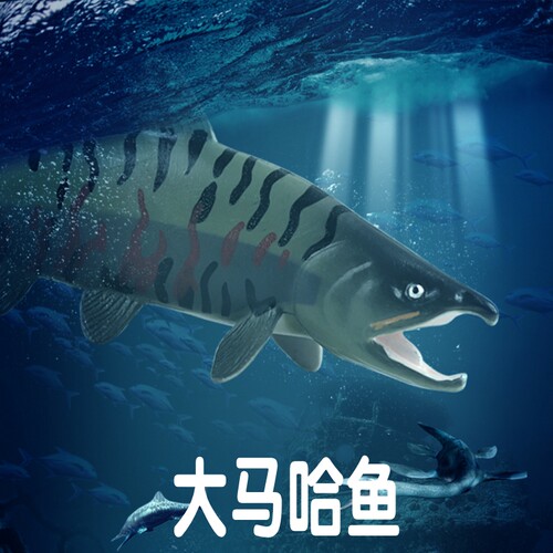 林畅模玩大马哈鱼模型仿真动物